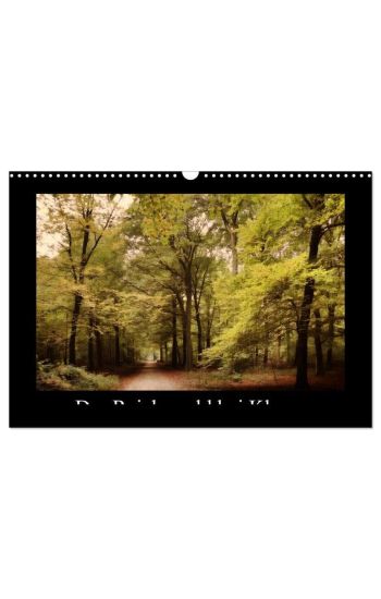 Der Reichswald bei Kleve (Wandkalender 2026 DIN A3 quer), CALVENDO Monatskalender