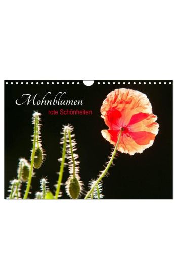 Mohnblumen - rote Schönheiten (Wandkalender 2026 DIN A4 quer), CALVENDO Monatskalender