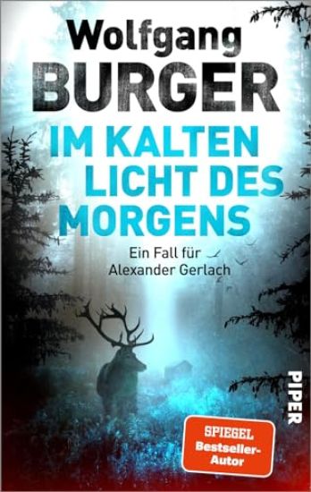 Im kalten Licht des Morgens