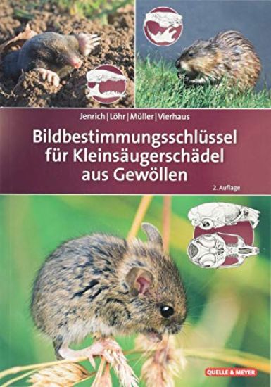 Bildbestimmungsschlüssel für Kleinsäugerschädel aus Gewöllen