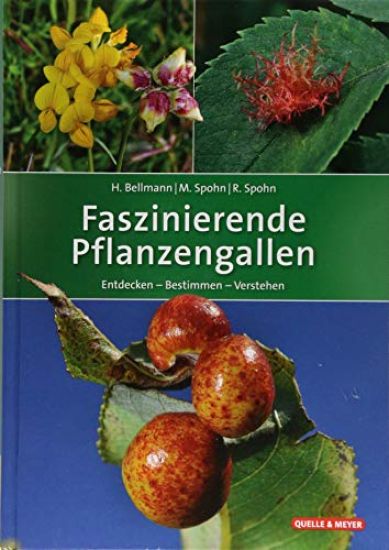 Faszinierende Pflanzengallen