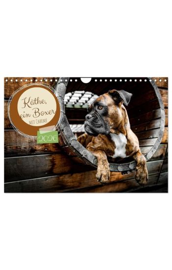 Käthe - ein Boxer mit Charme (Wandkalender 2026 DIN A4 quer), CALVENDO Monatskalender