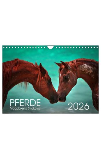 Pferde - Magdalena Strakova (Wandkalender 2026 DIN A4 quer), CALVENDO Monatskalender