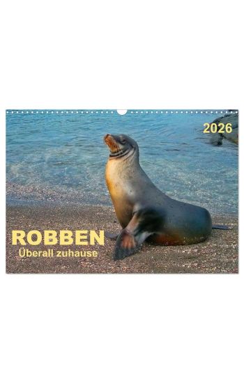 Robben - überall zuhause (Wandkalender 2026 DIN A3 quer), CALVENDO Monatskalender