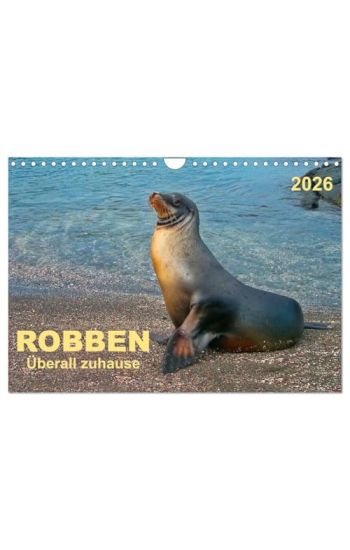Robben - überall zuhause (Wandkalender 2026 DIN A4 quer), CALVENDO Monatskalender