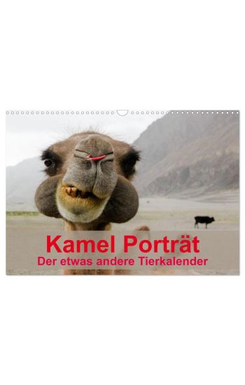 Kamel Porträt (Wandkalender 2026 DIN A3 quer), CALVENDO Monatskalender