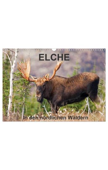 ELCHE In den nördlichen Wäldern (Wandkalender 2026 DIN A3 quer), CALVENDO Monatskalender