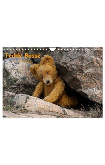Teddy Basse, Fortsetzung... (Wandkalender 2026 DIN A4 quer), CALVENDO Monatskalender