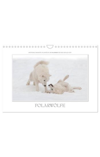 Emotionale Momente: Polarwölfe. / CH-Version (Wandkalender 2026 DIN A4 quer), CALVENDO Monatskalender