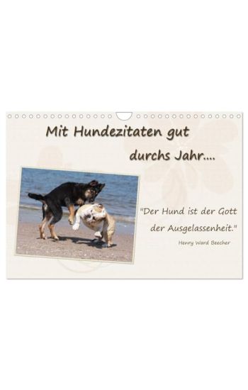 Mit Hundezitaten gut durchs Jahr / CH-Version (Wandkalender 2026 DIN A4 quer), CALVENDO Monatskalender
