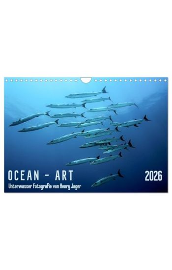 Ocean-Art / CH-Version (Wandkalender 2026 DIN A4 quer), CALVENDO Monatskalender