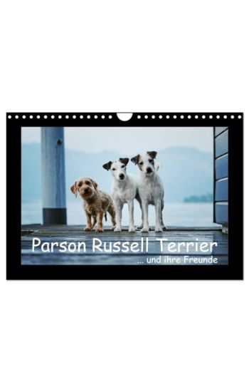 Parson Russell Terrier (Wandkalender 2026 DIN A4 quer), CALVENDO Monatskalender