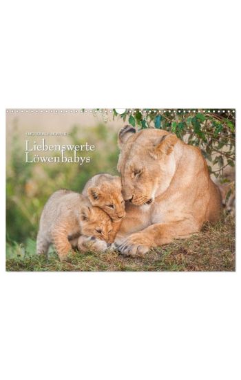 Emotionale Momente: Liebenswerte Löwenbabys / CH-Version (Wandkalender 2026 DIN A3 quer), CALVENDO Monatskalender