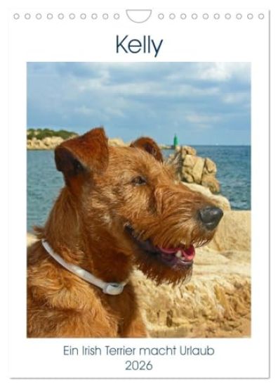 Kelly - Ein Irish Terrier macht Urlaub (Wandkalender 2026 DIN A4 hoch), CALVENDO Monatskalender