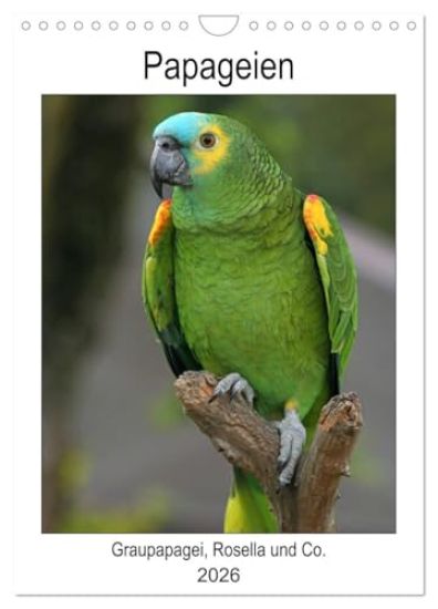 Papageien - Graupapagei, Rosella und Co. (Wandkalender 2026 DIN A4 hoch), CALVENDO Monatskalender