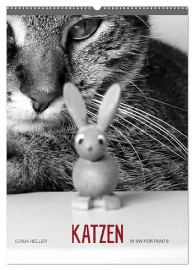 Sonja Heller Katzen in SW-Portraits (Wandkalender 2026 DIN A2 hoch), CALVENDO Monatskalender