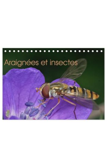 Araignées et insectes (Calendrier de bureau 2026 DIN A5 vertical), CALVENDO calendrier mensuel
