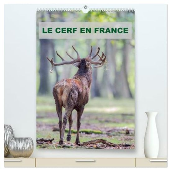 LE CERF EN FRANCE  (Calendrier mural 2026 DIN A2 horizontal) calendrier de bureau