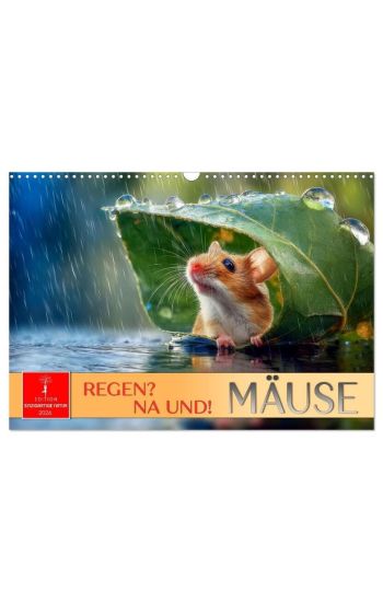 Regen? Na und! Mäuse (Wandkalender 2026 DIN A3 quer), CALVENDO Monatskalender