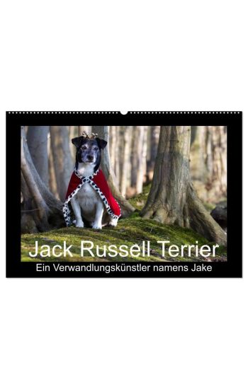 Jack Russell Terrier.....Ein Verwandlungskünstler namens Jake (Wandkalender 2026 DIN A2 quer), CALVENDO Monatskalender