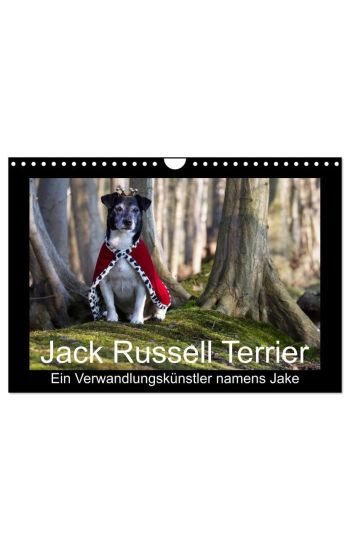 Jack Russell Terrier.....Ein Verwandlungskünstler namens Jake (Wandkalender 2026 DIN A4 quer), CALVENDO Monatskalender