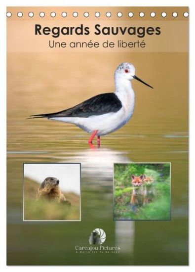 Regards sauvages - Une année de liberté (Calendrier de bureau 2026 DIN A5 horizontal), CALVENDO calendrier mensuel