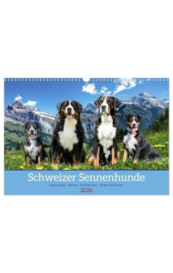 Schweizer Sennenhunde - Appenzeller - Berner - Entlebucher - Große Schweizer (Wandkalender 2026 DIN A3 quer), CALVENDO Monatskalender