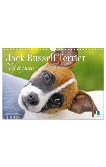 Jack Russell Terrier : vif et joueur (Calendrier mural 2026 DIN A4 vertical), CALVENDO calendrier mensuel