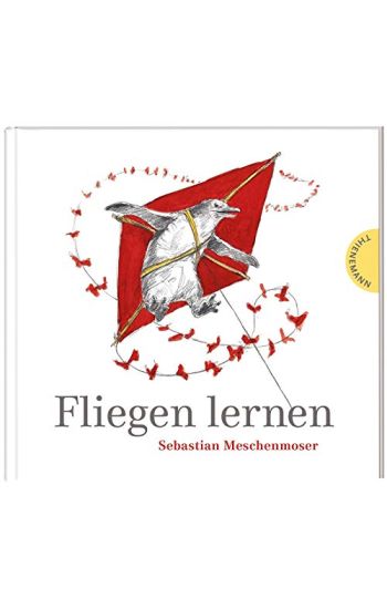 Fliegen lernen