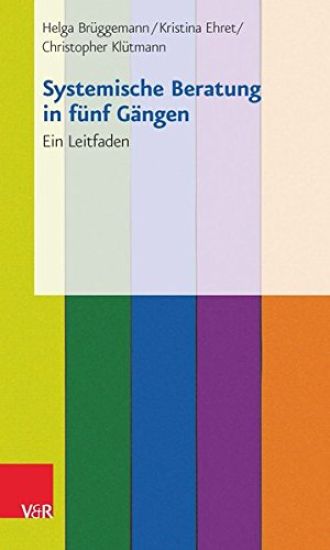 Systemische Beratung in Funf Gangen: 25 Praxiskarten