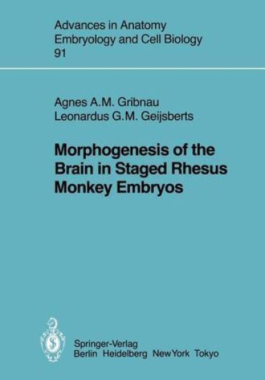 Morphogenesis of the Brain in Staged Rhesus Monkey Embryos
