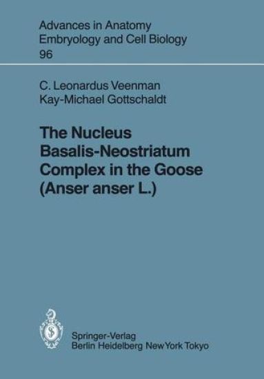 The Nucleus Basalis-Neostriatum Complex in the Goose (Anser anser L.)