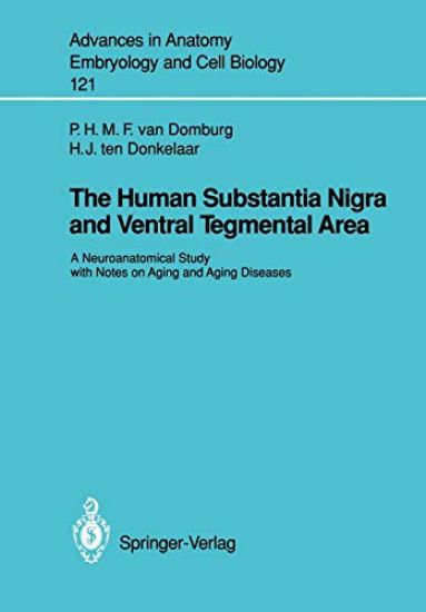 The Human Substantia Nigra and Ventral Tegmental Area