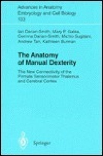 The Anatomy of Manual Dexterity
