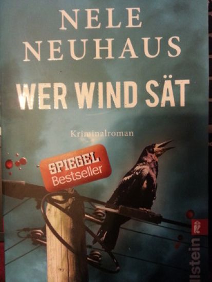 Wer Wind sät