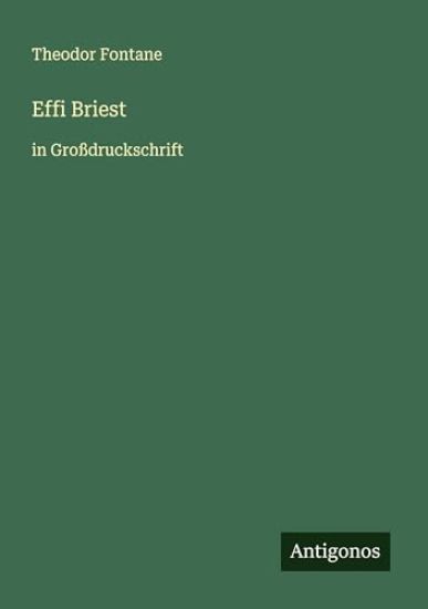Effi Briest: in Großdruckschrift
