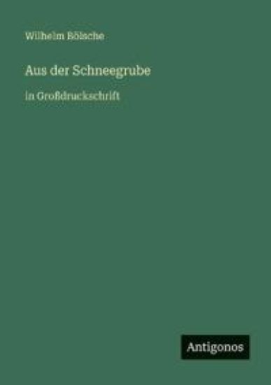 Aus der Schneegrube