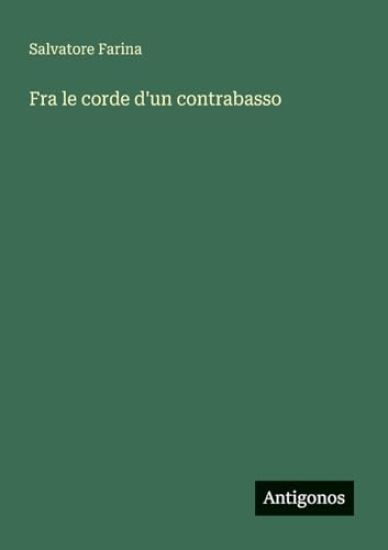 Fra le corde d'un contrabasso