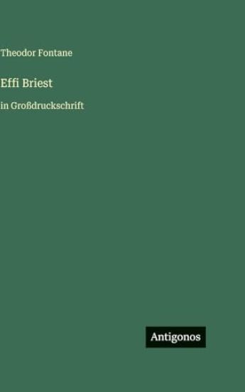 Effi Briest: in Großdruckschrift