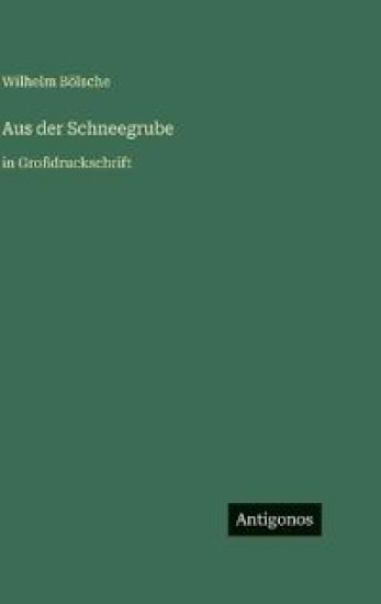 Aus der Schneegrube