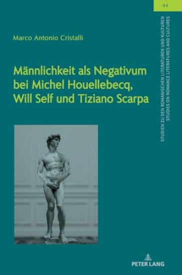 Maennlichkeit als Negativum bei Michel Houellebecq, Will Self und Tiziano Scarpa