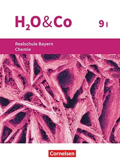 H2O & Co 9. Schuljahr - Wahlpflichtfächergruppe I - Realschule Bayern - Schülerbuch