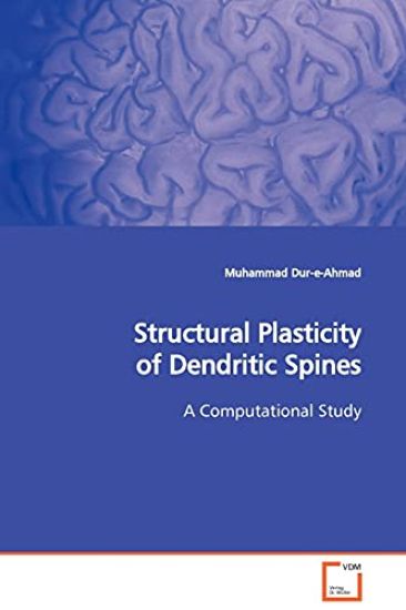 Structural Plasticity of Dendritic Spines