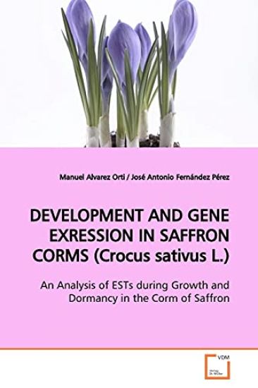 DEVELOPMENT AND GENE EXRESSION IN SAFFRON CORMS (Crocus sativus L.)