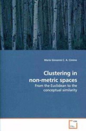 Clustering in non-metric spaces