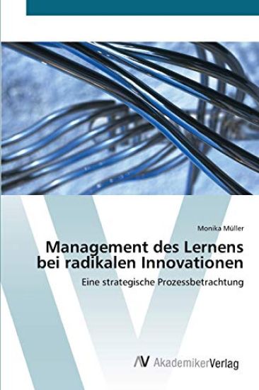 Management des Lernens bei radikalen Innovationen