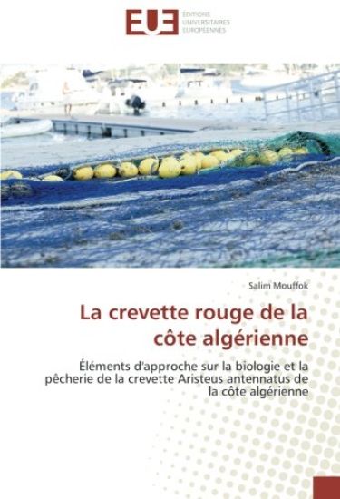 La crevette rouge de la côte algérienne