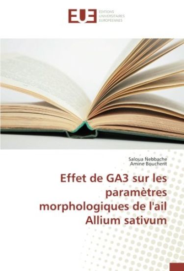 Effet de GA3 sur les paramètres morphologiques de l'ail Allium sativum