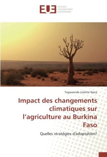 Impact des changements climatiques sur l¿agriculture au Burkina Faso