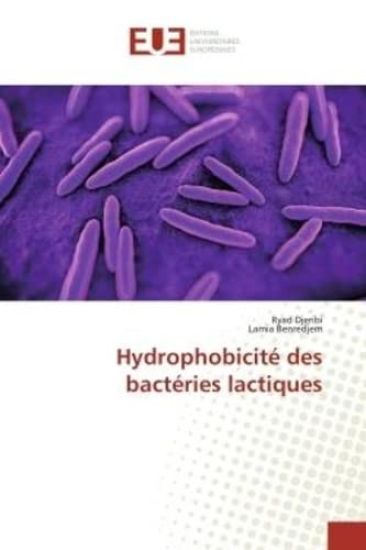 Hydrophobicité des bactéries lactiques